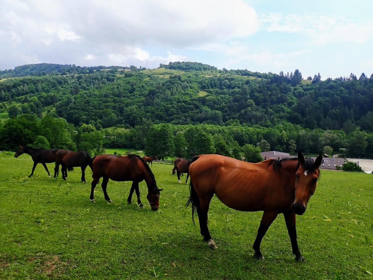 Zrebcin Mlyncok Apartment Slovenska Lupca Bagian luar foto