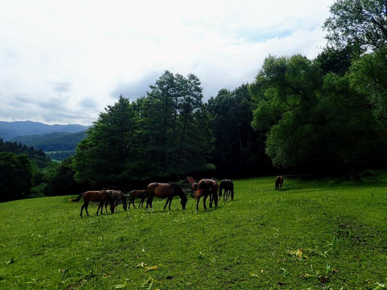 Zrebcin Mlyncok Apartment Slovenska Lupca Bagian luar foto