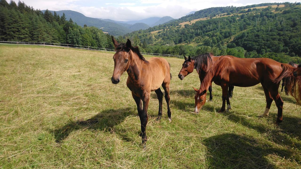 Zrebcin Mlyncok Apartment Slovenska Lupca Bagian luar foto