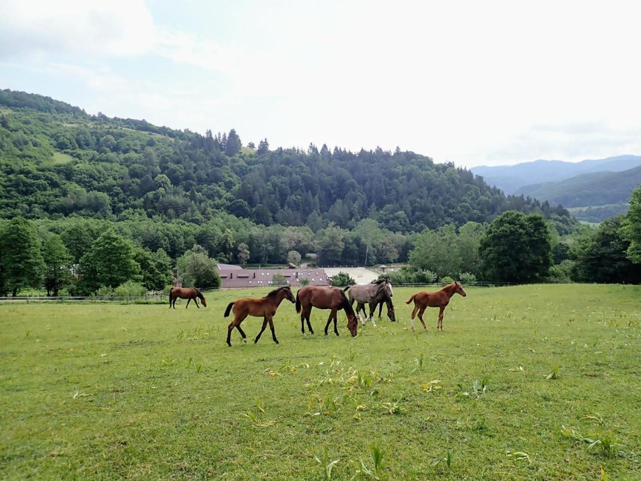 Zrebcin Mlyncok Apartment Slovenska Lupca Bagian luar foto
